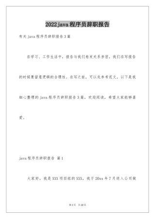 2024java程序员辞职报告_2