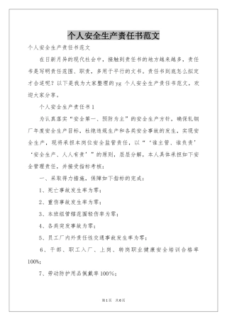 个人安全生产责任书范本