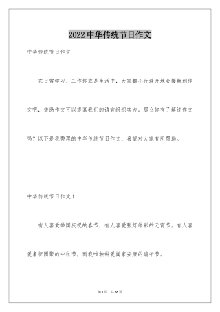 2024中华传统节日作文_14
