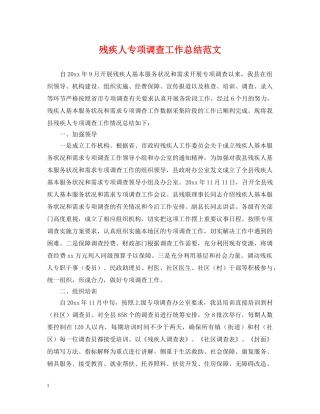 残疾人专项调查工作总结范文 