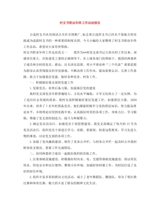 村支书职业年终工作总结报告 