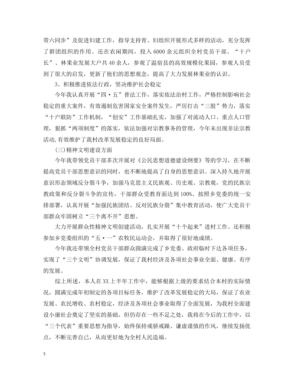 村副书记年终总结 _第3页