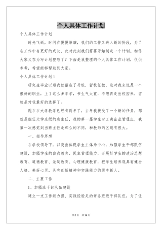 个人具体工作参考计划