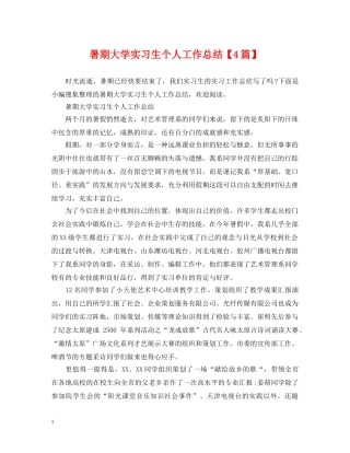 暑期大学实习生个人工作总结【4篇】 