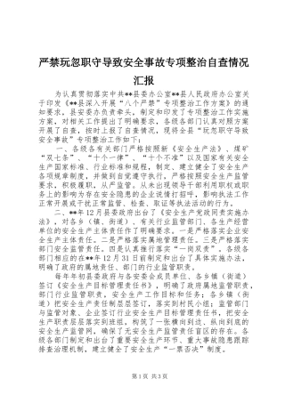 严禁玩忽职守导致安全事故专项整治自查情况汇报