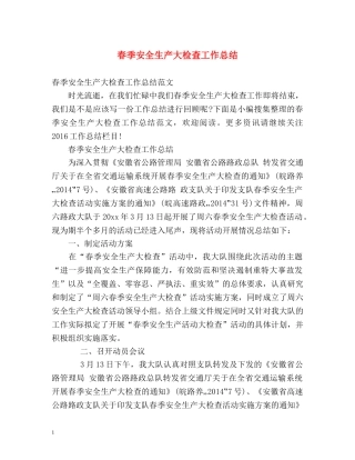 春季安全生产大检查工作总结 