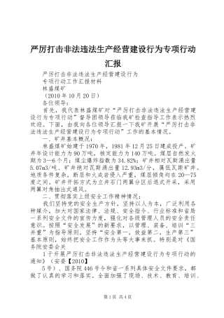 严厉打击非法违法生产经营建设行为专项行动汇报