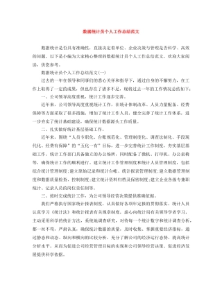 数据统计员个人工作总结范文 