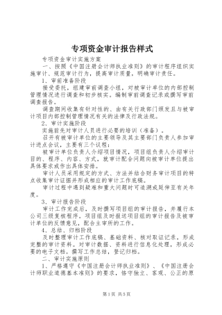 专项资金审计报告样式