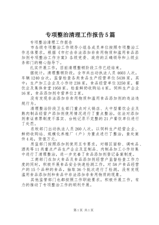 专项整治清理工作报告5篇