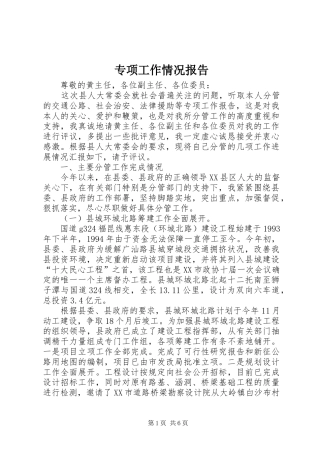 专项工作情况报告