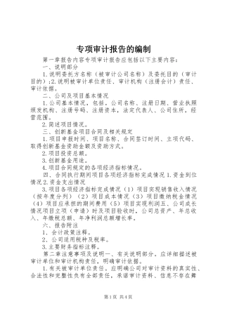 专项审计报告的编制