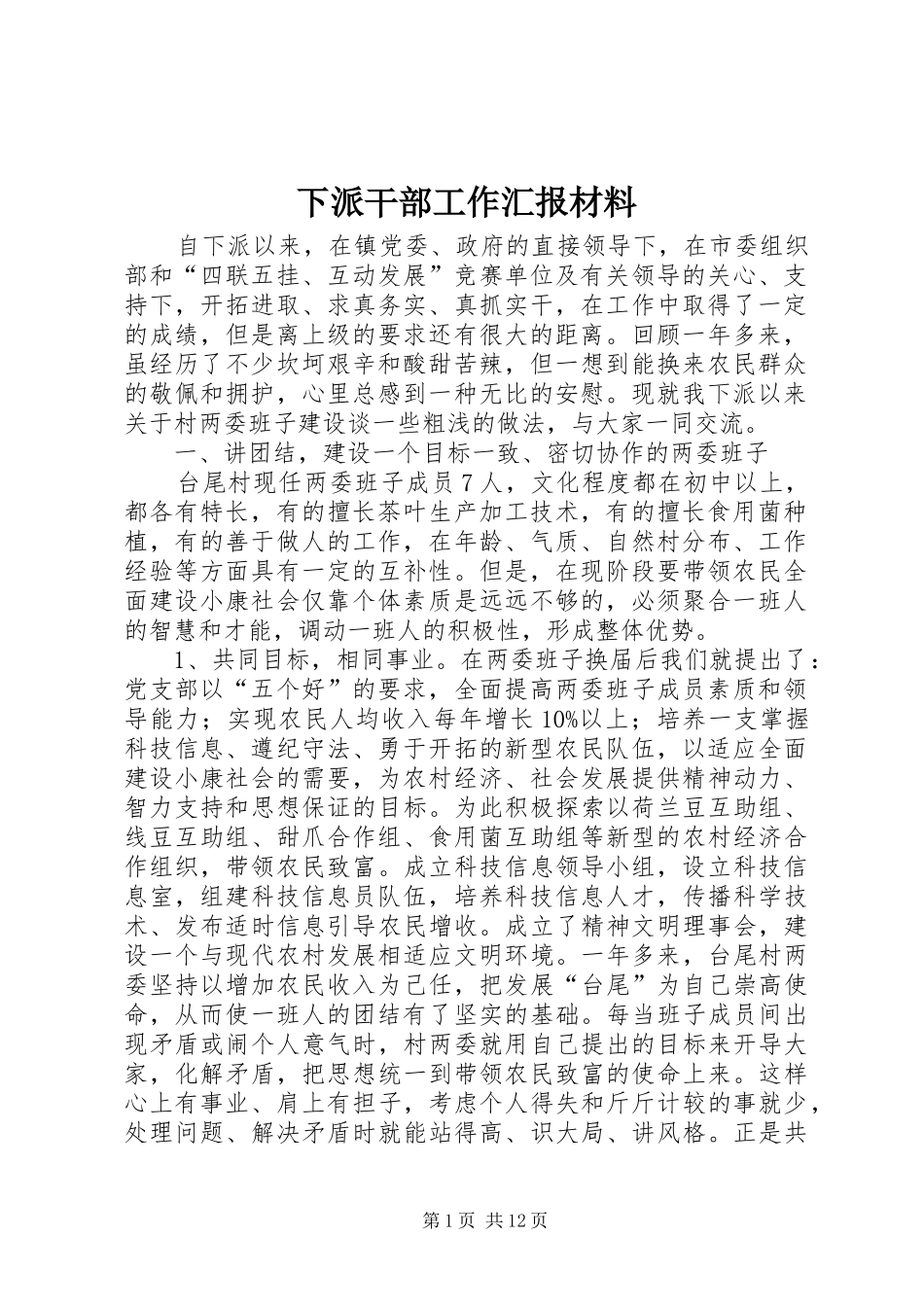 下派干部工作汇报材料_第1页