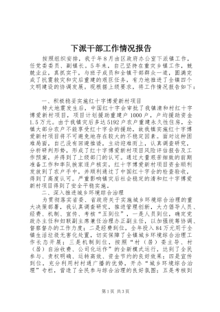 下派干部工作情况报告