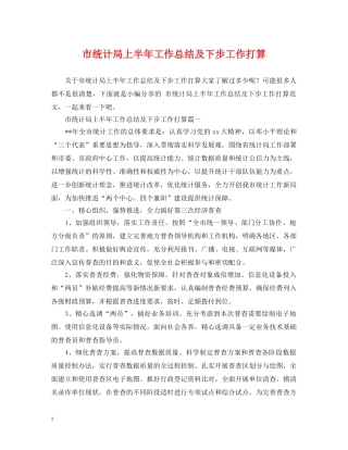 市统计局上半年工作总结及下步工作打算 