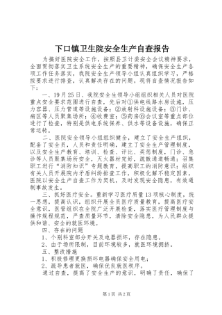 下口镇卫生院安全生产自查报告