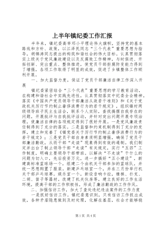 上半年镇纪委工作汇报