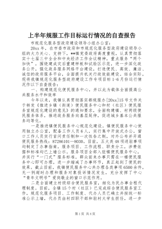 上半年规服工作目标运行情况的自查报告