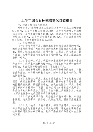 上半年综合目标完成情况自查报告