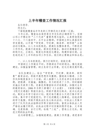 上半年稽查工作情况汇报