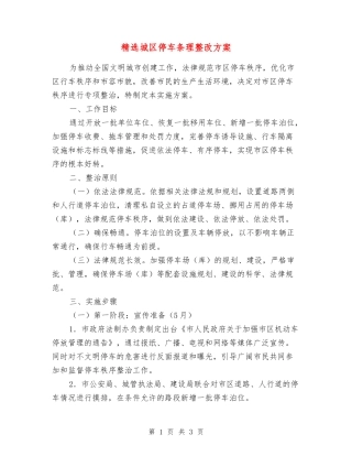 城区停车条理整改方案