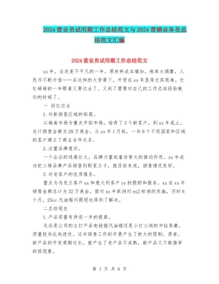 2024营业员试用期工作总结范文与2024营销业务员总结范文汇编