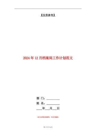 2024年12月档案局工作计划范文