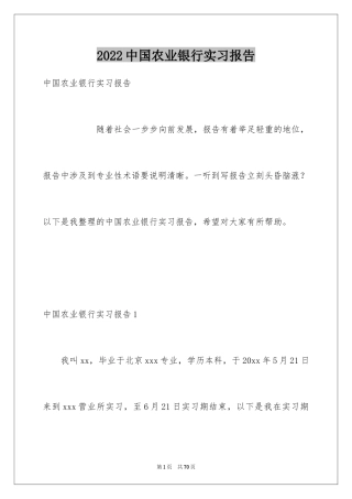 2024中国农业银行实习报告