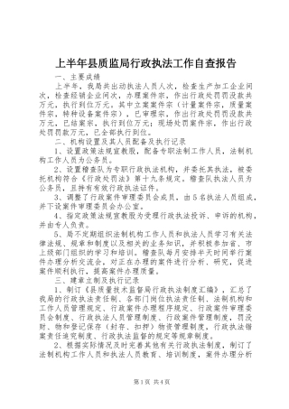 上半年县质监局行政执法工作自查报告