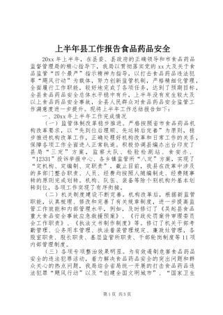 上半年县工作报告食品药品安全