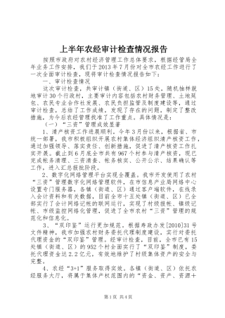 上半年农经审计检查情况报告