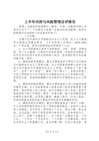 上半年内控与风险管理自评报告