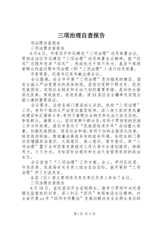 三项治理自查报告