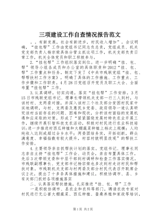 三项建设工作自查情况报告范文