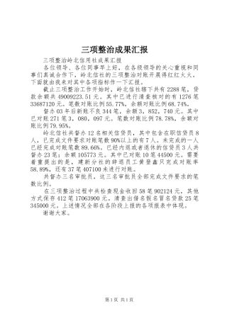 三项整治成果汇报