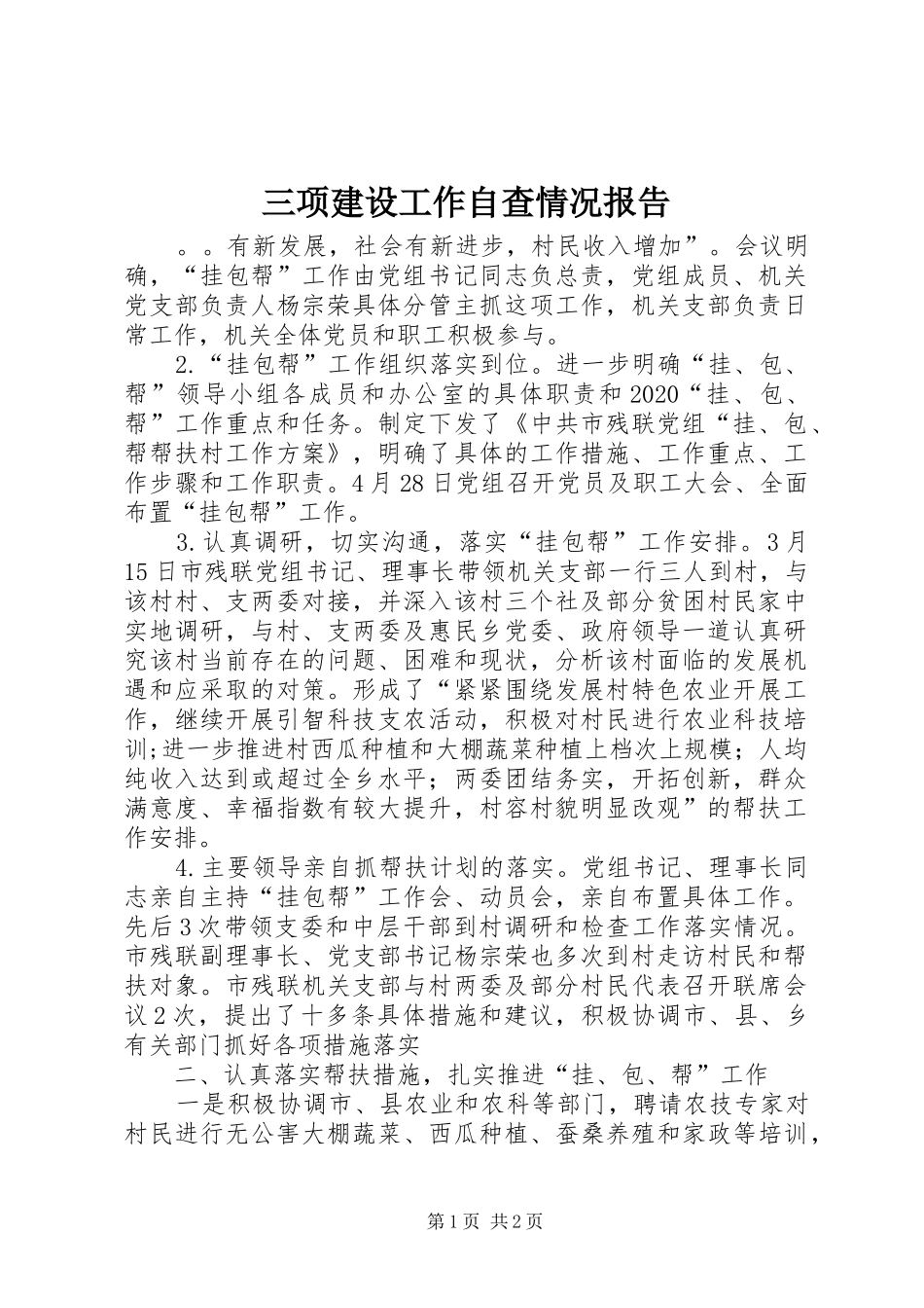 三项建设工作自查情况报告_第1页