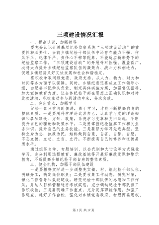 三项建设情况汇报