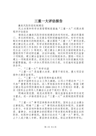 三重一大评估报告