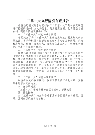 三重一大执行情况自查报告