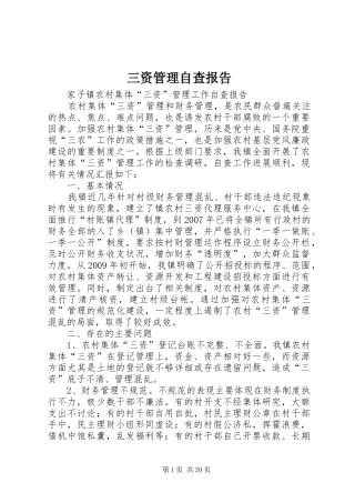 三资管理自查报告
