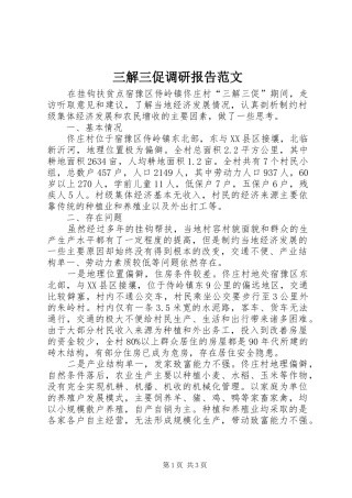 三解三促调研报告范文