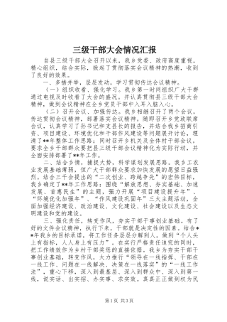 三级干部大会情况汇报