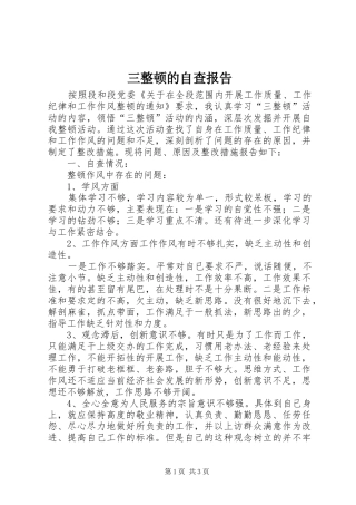 三整顿的自查报告