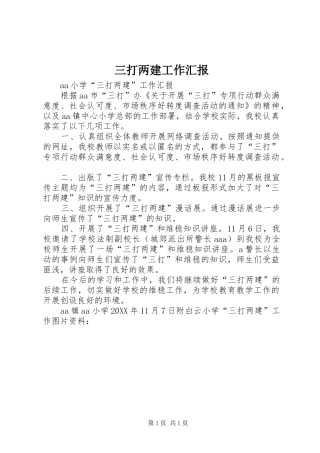 三打两建工作汇报