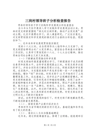 三岗村领导班子分析检查报告