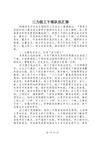三力组工干部队伍汇报