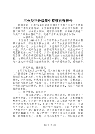 三分类三升级集中整顿自查报告