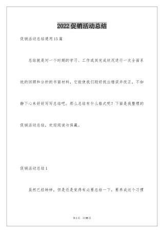 2024促销活动总结