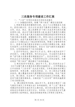 三农服务专项建设工作汇报
