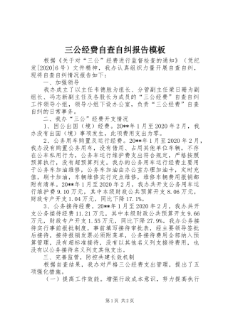 三公经费自查自纠报告模板